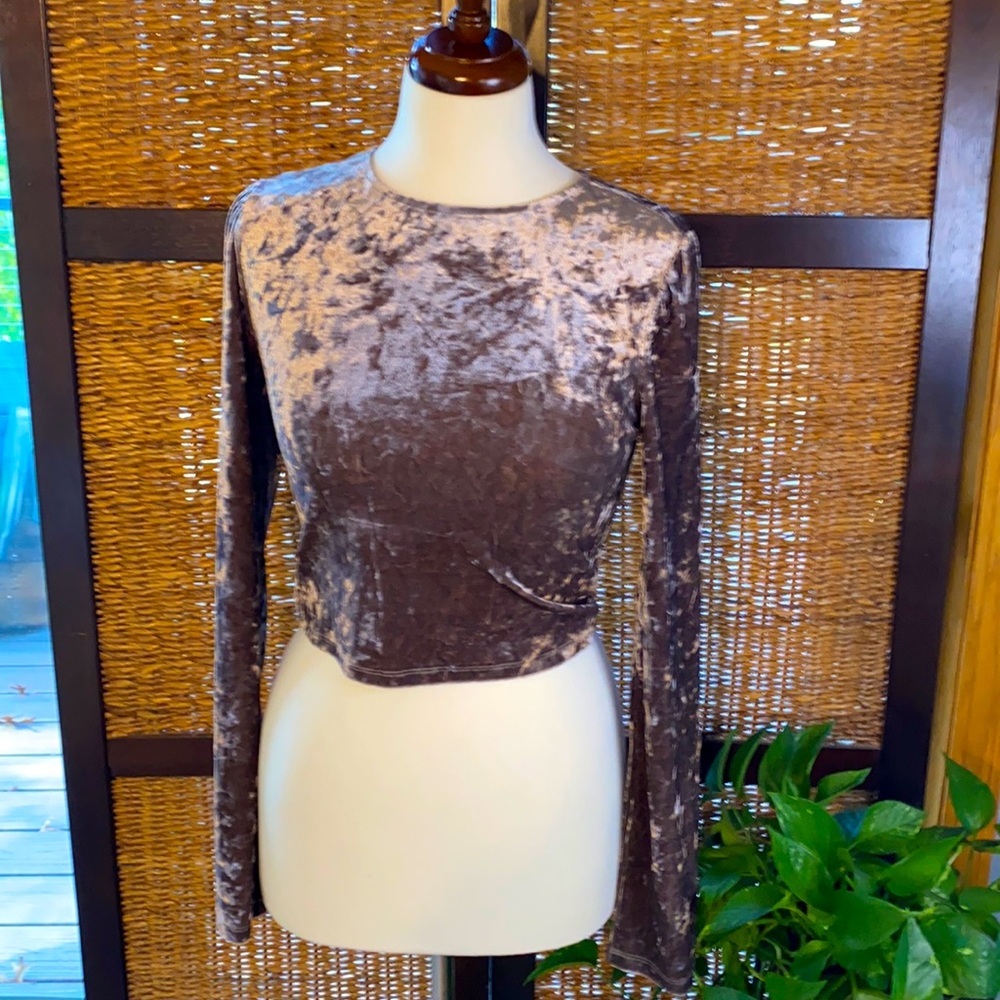 Forever 21 brown shiny soft crop top medium